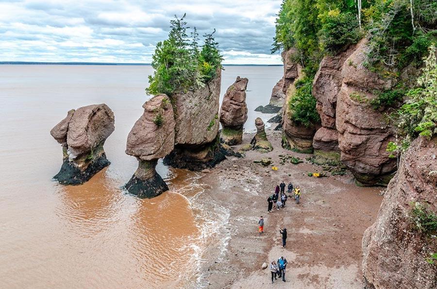 The Fundy Rocks Resort Hopewell Cape Exteriör bild